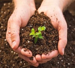 Soil Sample Testing